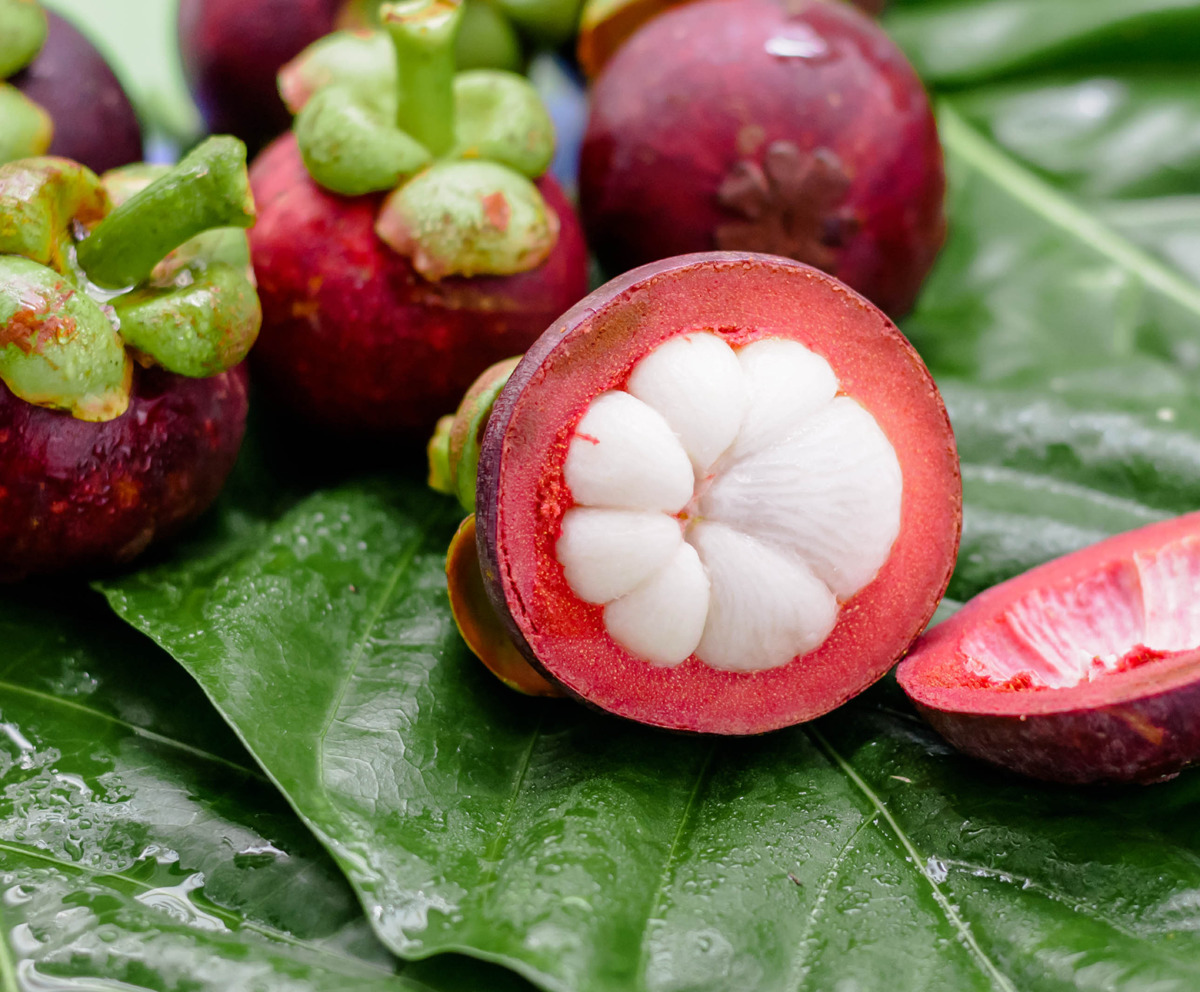 Тропический фрукт мангустин: состав, польза, как едят