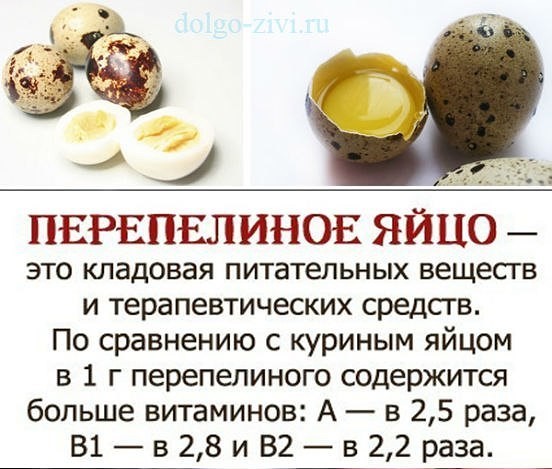 Калорийность яйца