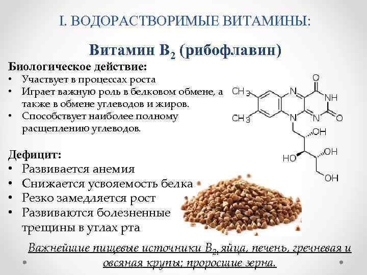 Рибофлавин витамин для чего нужен витамин и в чем содержится | bioniq media