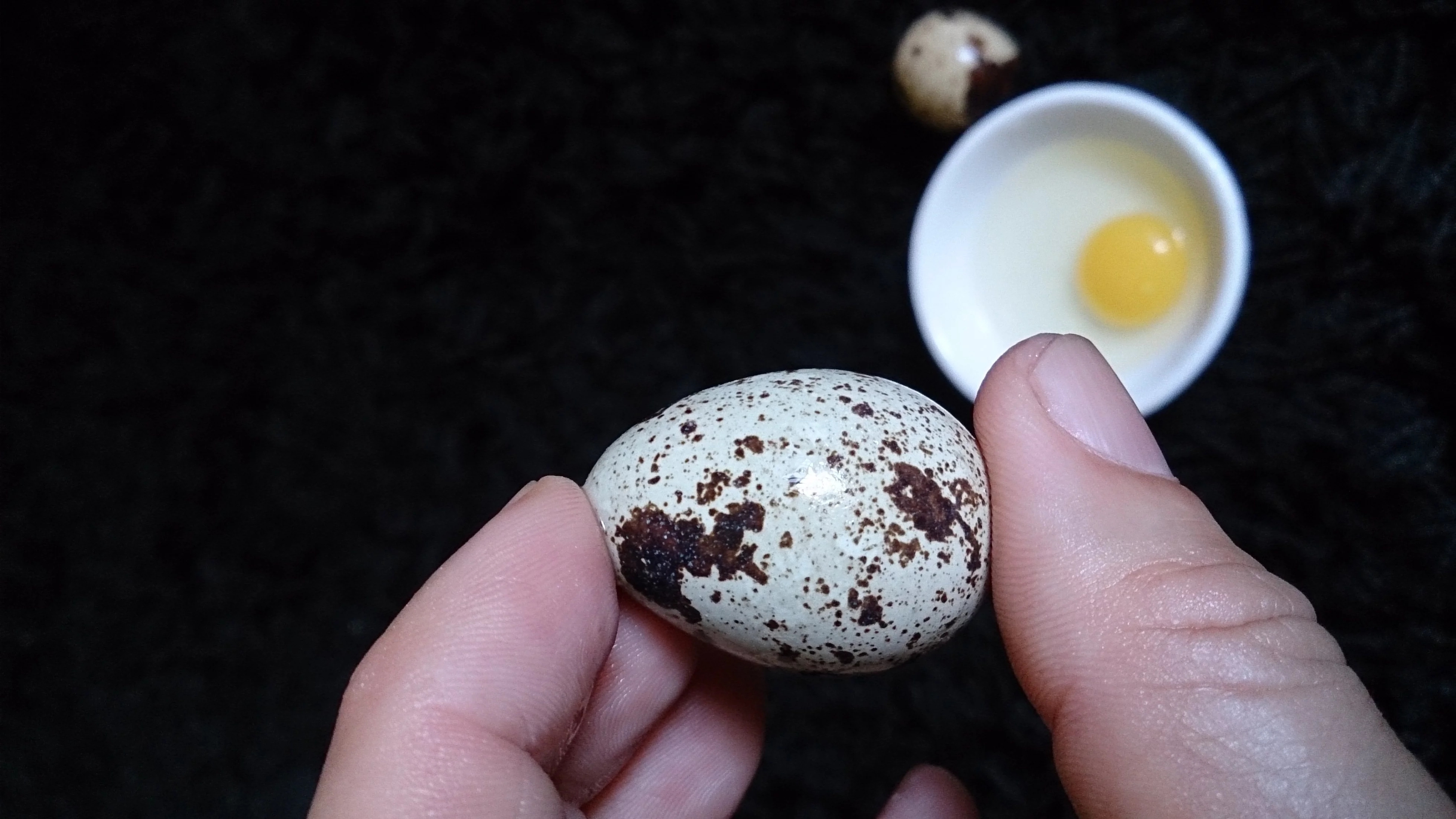 Перепелиные яйца польза и вред для организма человека:кулинарика