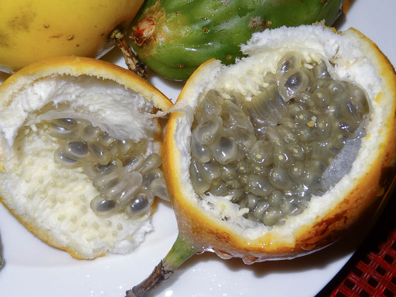 Гранадилла — каковы полезные свойства этого экзотического фрукта?