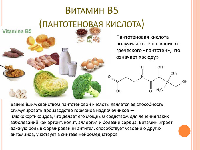 Витамин b5 - пантотеновая кислота