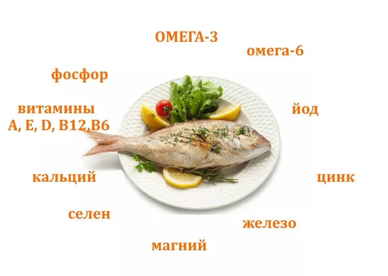 🚩 рыба дори: описание, польза и вред, обитание, калорийность