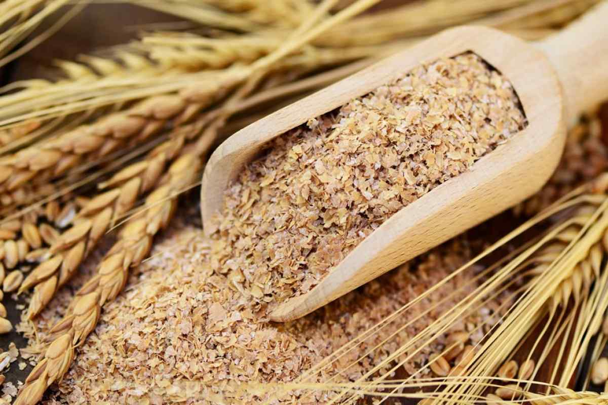 Отруби пшеничные: состав, калорийность, норма в день, польза, как принимать