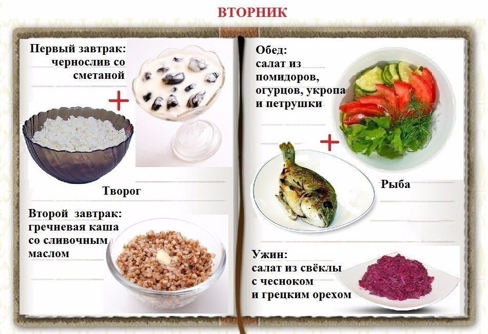 Классификация продуктов питания: скачать окп (общероссийский классификатор продукции) 2021 года
