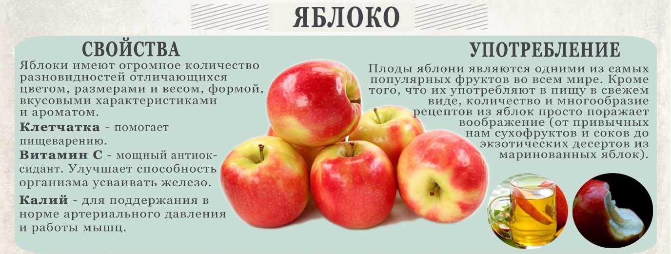 Яблоки: польза и вред для организма