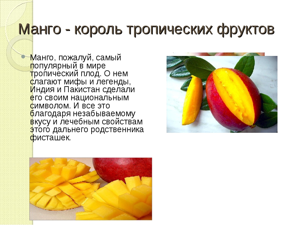 Манго (фрукт): польза и вред для организма, как кушать плоды, что с ними приготовить, как выбрать хороший сорт