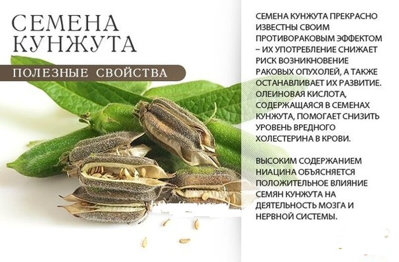 Каша льняная для похудения, полезные свойства, рецепты | irksportmol.ru