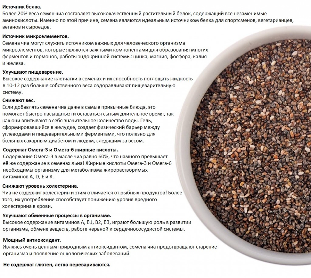 Семена чиа: полезные свойства для похудения и противопоказания