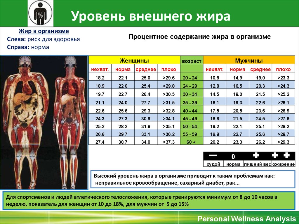 Процент жира в организме: норма для женщин и мужчин