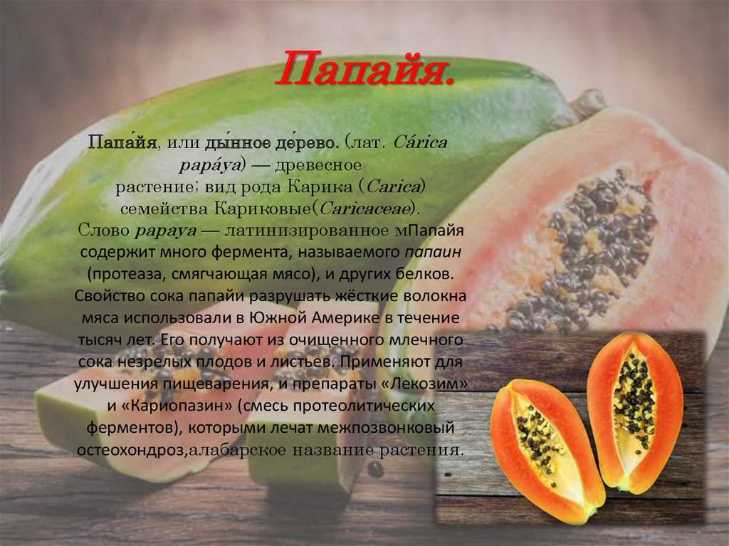 Фрукт папайя: полезные свойства и вред