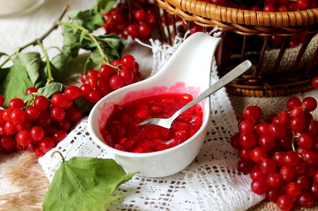 Калина: полезные свойства ягоды | food and health