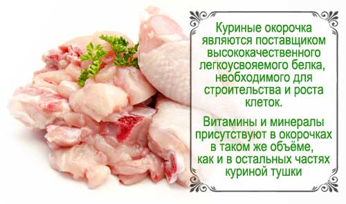 Мясо курицы: польза и вред, состав, калорийность