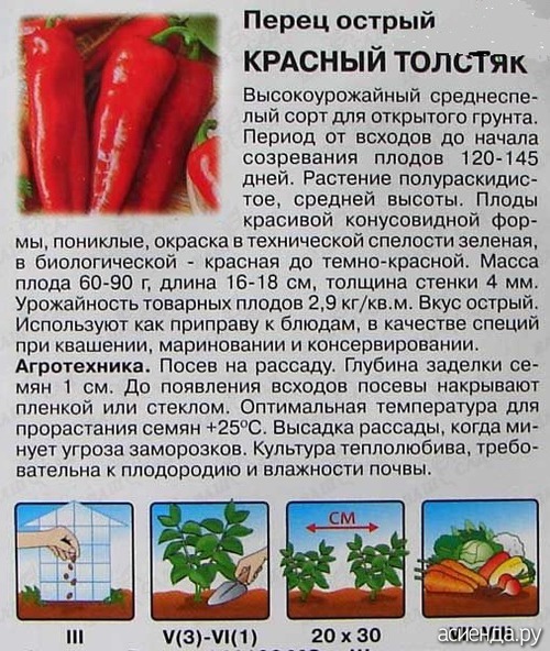 Болгарский перец: польза и вред для организма, калорийность на 100 грамм, бжу